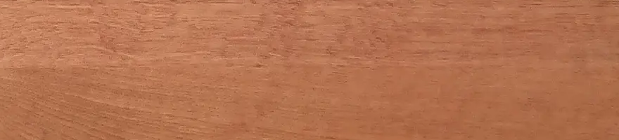 Mořidlo Třešeň